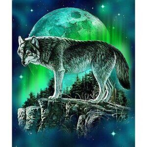 New Northern Lights Wolf Plush Fleece Throw Gift Blanket Sherpa Green Sky Moon